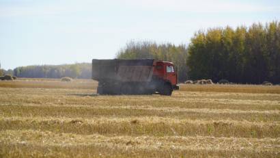 Переселенцы в СКО зарабатывают до 3,5 млн тенге за сезон!